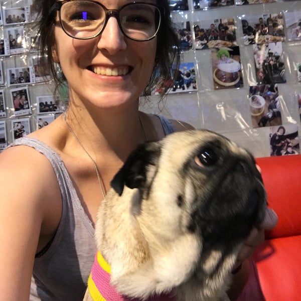 Photos At Living Room Pug Cafe Pet Cafe In Nishikyo Ku Kyoto Photos At Living Room Pug Cafe Pet Cafe In Nishikyo Ku Kyoto