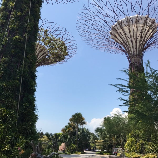 Photo taken at Gardens by the Bay by Mink K. on 6/8/2017