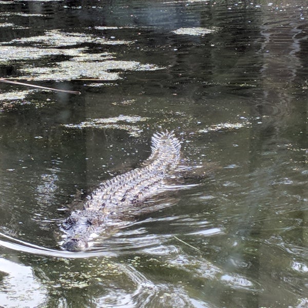 Photo taken at Hartley&#39;s Crocodile Adventures by tobe on 3/2/2018
