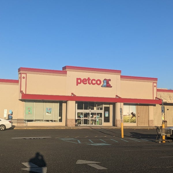 leopard gecko lighting kit