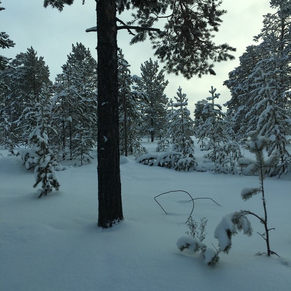 Хмао радужный купить дачу. Дачный участок город сургут. Дача радужный хмао. Дачи в радужном хмао. Дача радужный хмао.