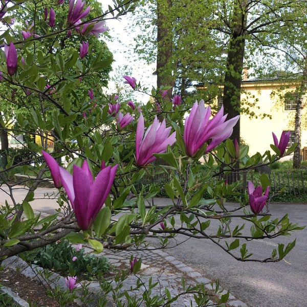 Das Foto wurde bei Pötzleinsdorfer Schlosspark von Anastasya am 4/20/2016 aufgenommen