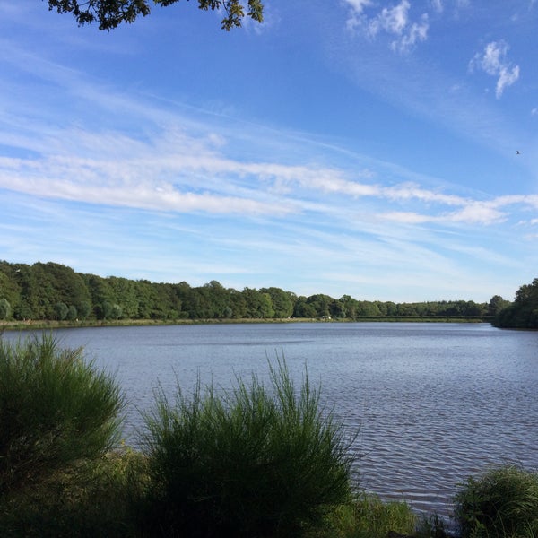 Étang de la Tour Lac à VieilleÉgliseenYvelines