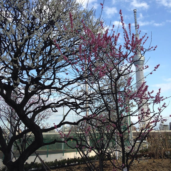 花の碑 1 Conseil De 12 Visiteurs