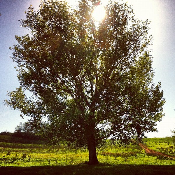 Снимок сделан в Parco Regionale dell&#39;Appia Antica пользователем Paolo C. 10/20/2012