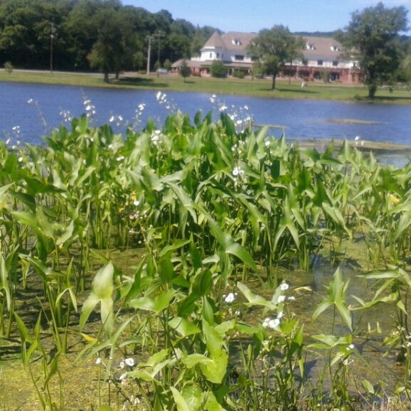 Crane Park (the ponds) 2 tips from 74 visitors