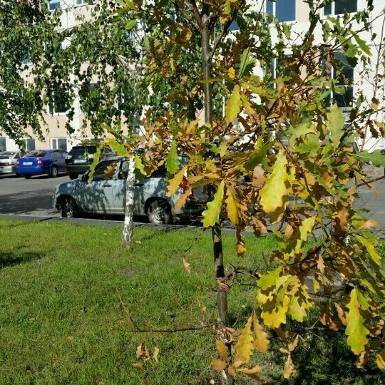 Аллея пивоваров, park, Tomsk, Arkadiya Ivanova Street - Yandex Maps