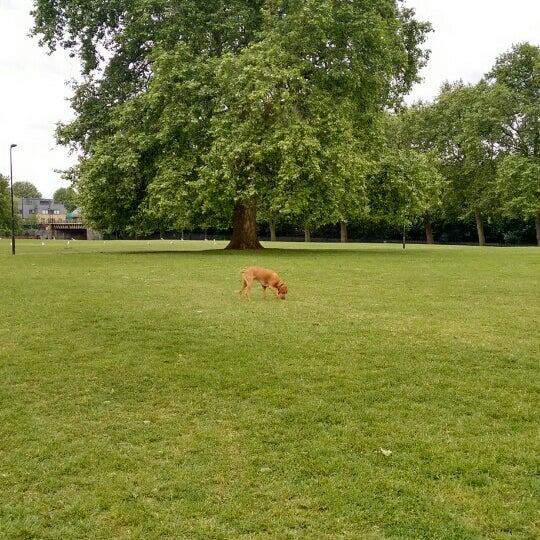 Photo taken at Hackney Downs by Chrissy W. on 5/29/2015