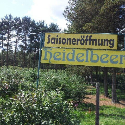 Heidelbeerplantage Wassermann Neustadt am Rübenberge, Niedersachsen