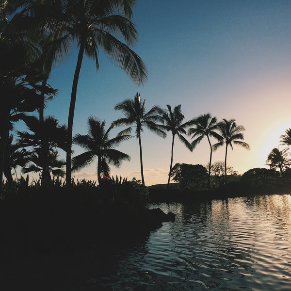 1/4/2015にStephanie S.がGrand Hyatt Kauai Salt Water Lagoonで撮った写真
