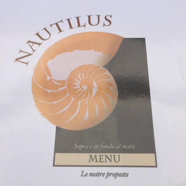 Nautilus rest. Nautilus rest