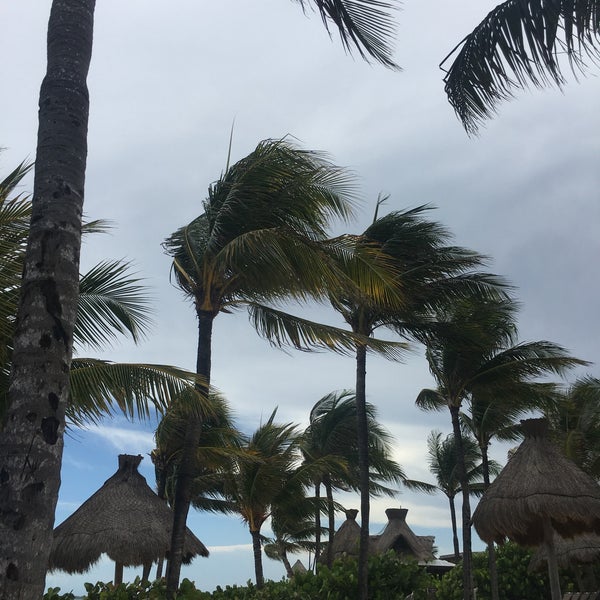 gratuity policy unico riviera maya gratuity policy unico riviera maya