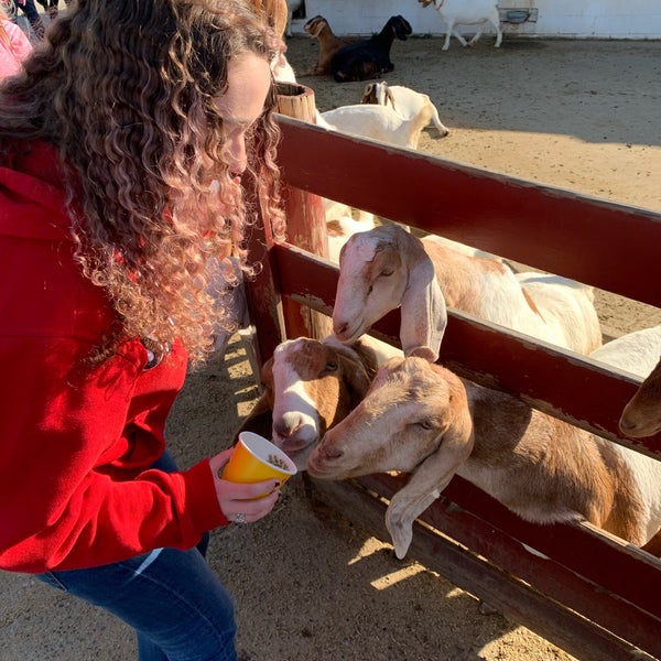 Photo taken at Young&#39;s Jersey Dairy by Ethan on 10/13/2019