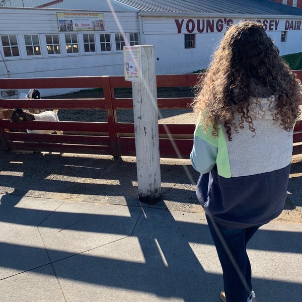 Photo taken at Young&#39;s Jersey Dairy by Ethan on 2/2/2020