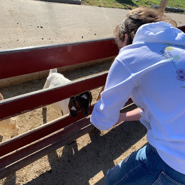 Das Foto wurde bei Young&#39;s Jersey Dairy von Ethan am 10/13/2019 aufgenommen