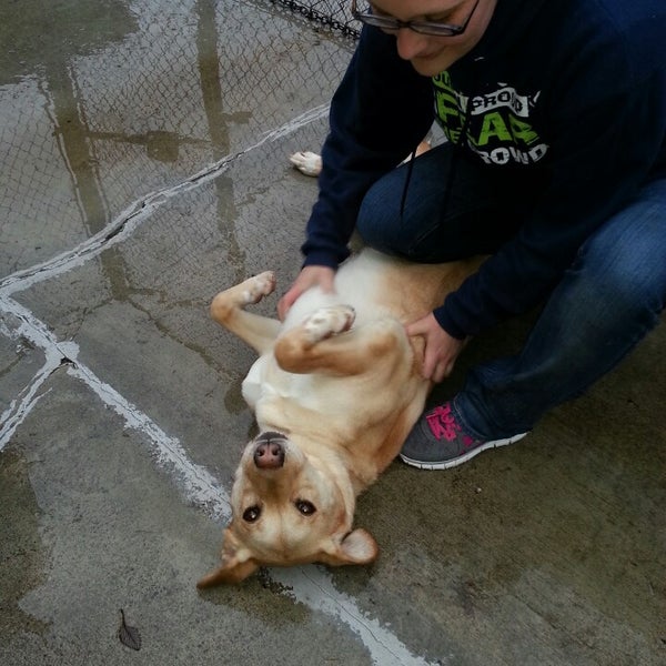 Photos at Kitsap Humane Society Pet Supplies Store in Silverdale