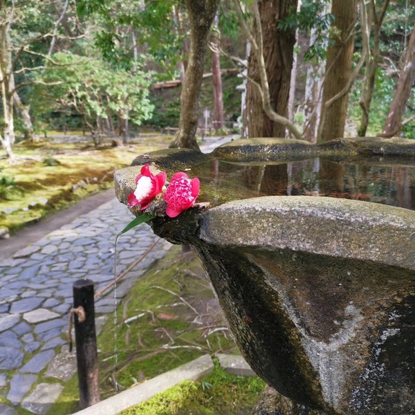Photos at 法然院 山門