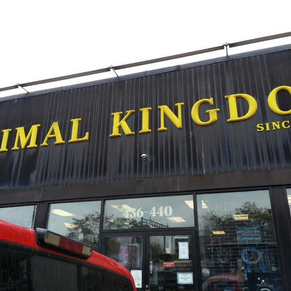 Animal Kingdom East Orange Nj