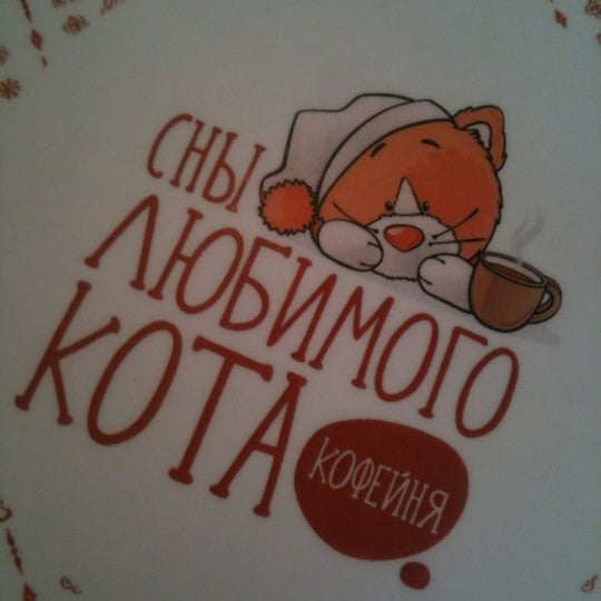 Сны любимого кота калуга