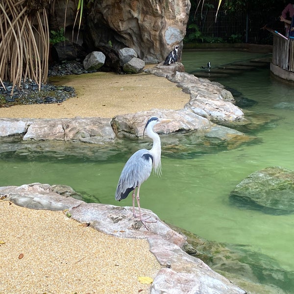 Foto scattata a Jurong Bird Park da Luis W. il 1/3/2021