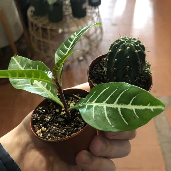 Photo taken at Sprout Home by Taylor B. on 11/23/2019