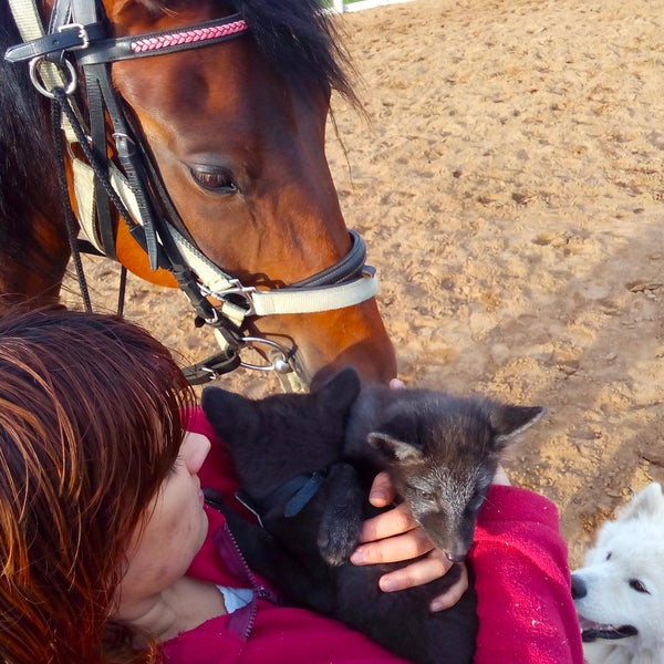 6/20/2016 tarihinde Horse W.ziyaretçi tarafından КСК Western Horse'de çekilen fotoğraf