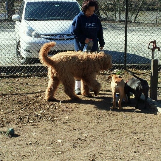 Sandy Springs Dog Park 3 tips from 156 visitors