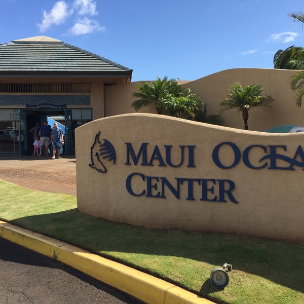 Das Foto wurde bei Maui Ocean Center, The Hawaiian Aquarium von N L. am 10/19/2017 aufgenommen