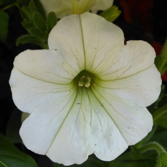 Photos at The Home Depot 80 Independent Way