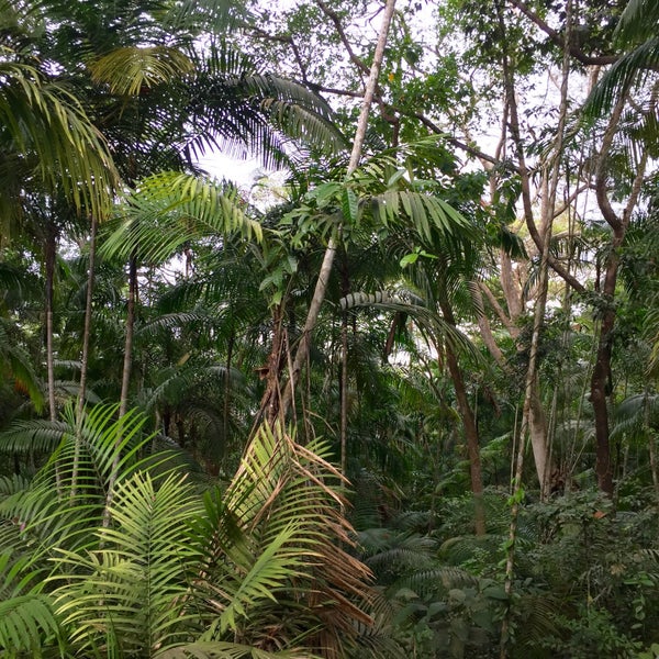 รูปภาพถ่ายที่ Gamboa Rainforest Resort โดย Michele S. เมื่อ 2/24/2016