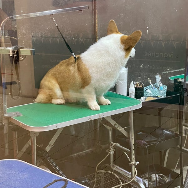PetsMore Pet Supplies Store in Setapak