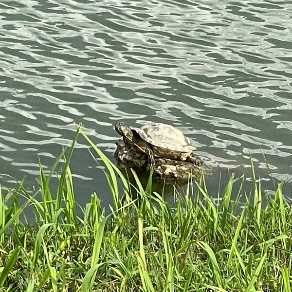 Taman Tasik Danau Kota Taman Danau Kota Jalan Genting Klang