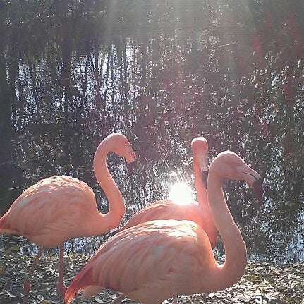 Photo taken at Aqua Zoo by Huub on 11/11/2012