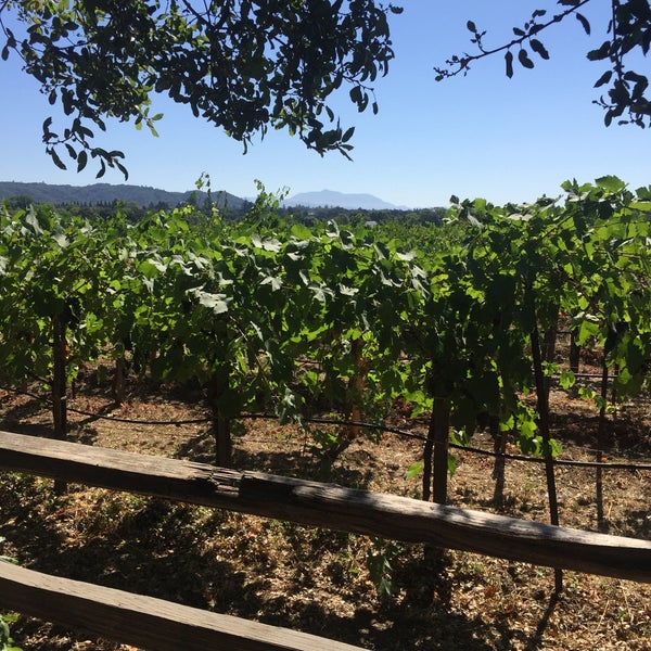 Foto tirada no(a) Quivira Vineyards and Winery por Vanessa em 8/2/2016