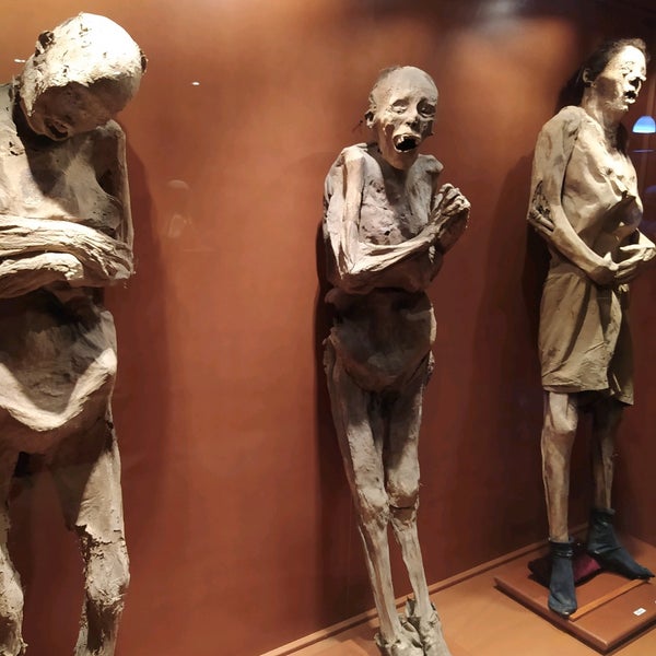 Foto scattata a Museo de las Momias de Guanajuato da Tomas S. il 5/27/2021