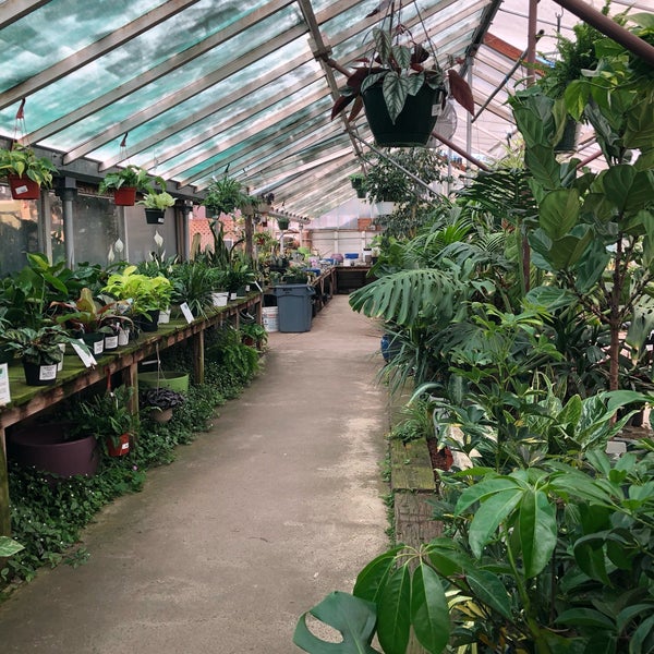 Encinal Nursery Garden Center in East End