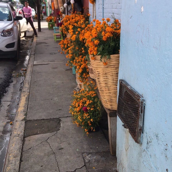 11/29/2019에 Flores D.님이 Florería Flores de Oaxaca에서 찍은 사진
