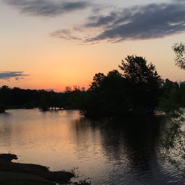 Basil Griffin Park 4 tips