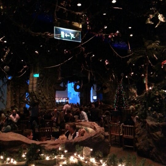 Photos At Rainforest Cafe Dubai وسط مدينة دبي دبي دبي