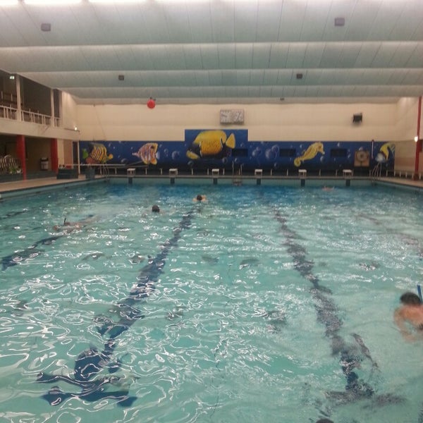 photos à zwembad de parrel - piscine à selwerd
