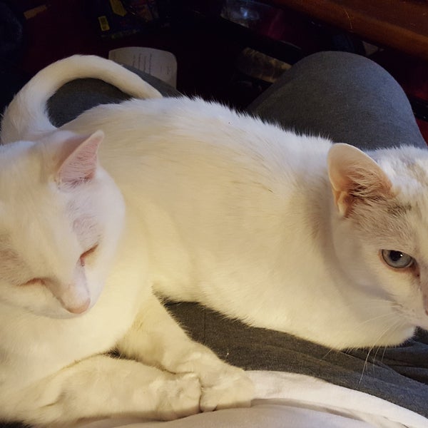 Smith's Food & Drug Grocery Store in Green River