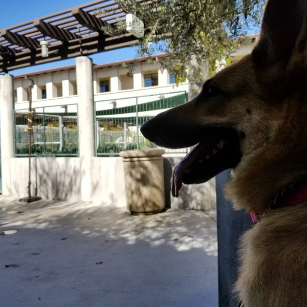 Foto tomada en Pasadena Humane Society &amp; SPCA  por Chris A. el 11/8/2017