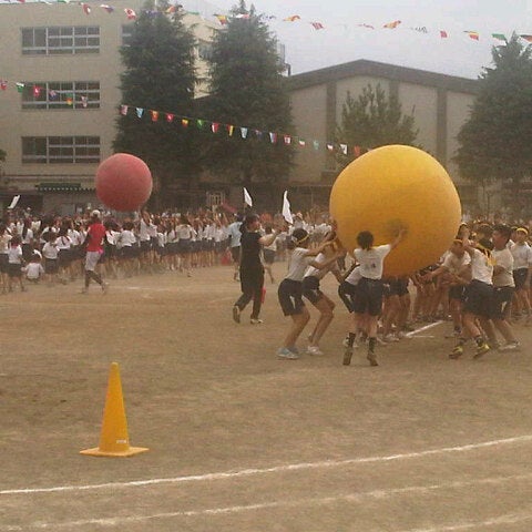 ふじみ野市立西小学校 Elementary School ふじみ野市立西小学校 Elementary School