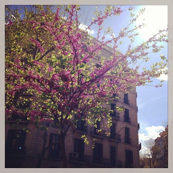 4/8/2013にBeth H.がParisii Bistrotで撮った写真