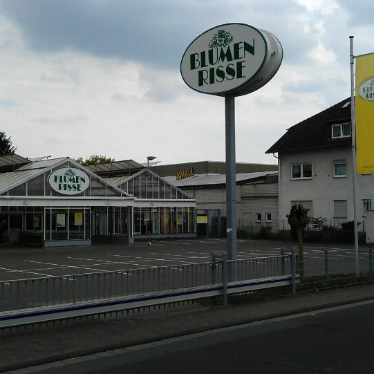 Blumen Risse AntonFlettnerStr. 7