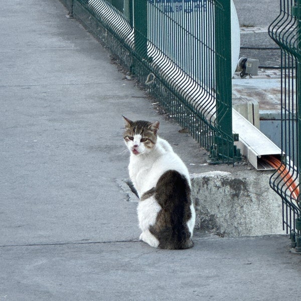 Photo taken at Yüksel Balık by Bûtimar on 7/28/2023