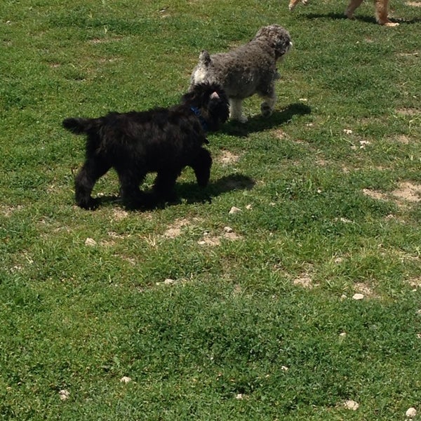 Photo taken at Swift Run Dog Park by Lewis A. on 7/17/2014