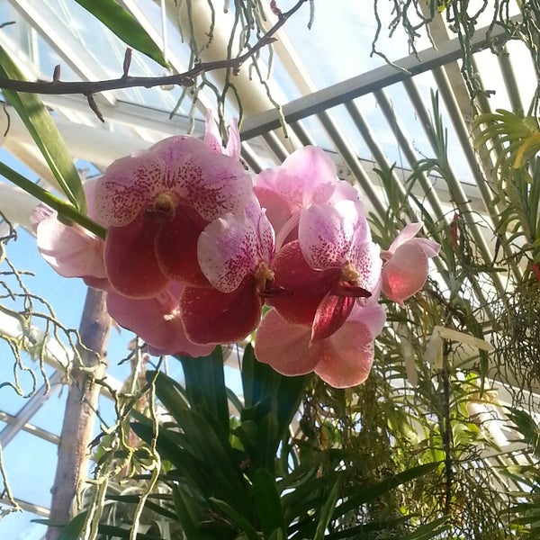 Photo taken at Brooklyn Botanic Garden by lycheemamba on 2/23/2014
