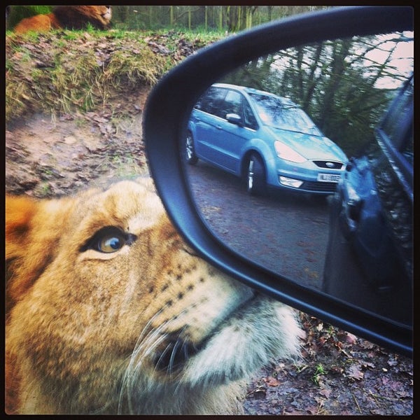 Photo taken at Knowsley Safari by Ian M. on 12/30/2012