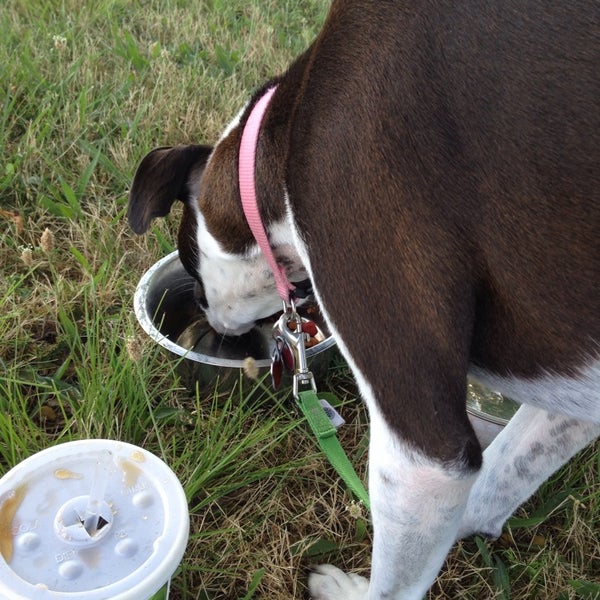 Taco Bell b City, MO